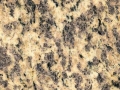 hindistan-granit-tiger-skin-yellow